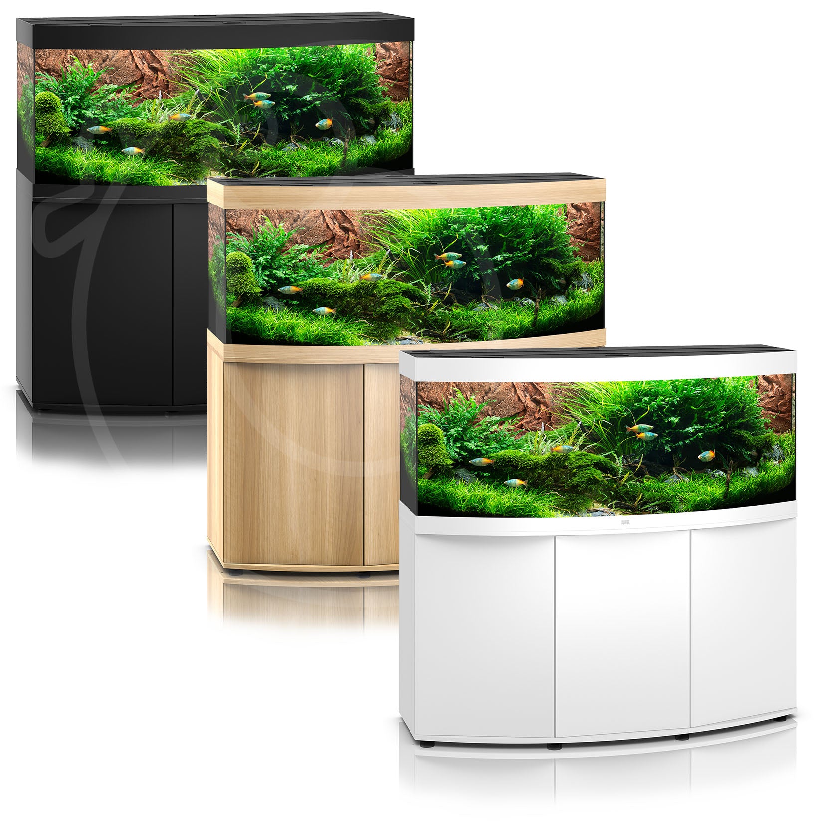 Juwel Vision LED Aquariums | from Aquacadabra