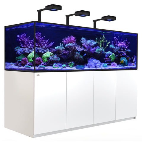 Filtre exhausteur d'angle – Aqua Nova NSF-C200L - Aqua-biotope