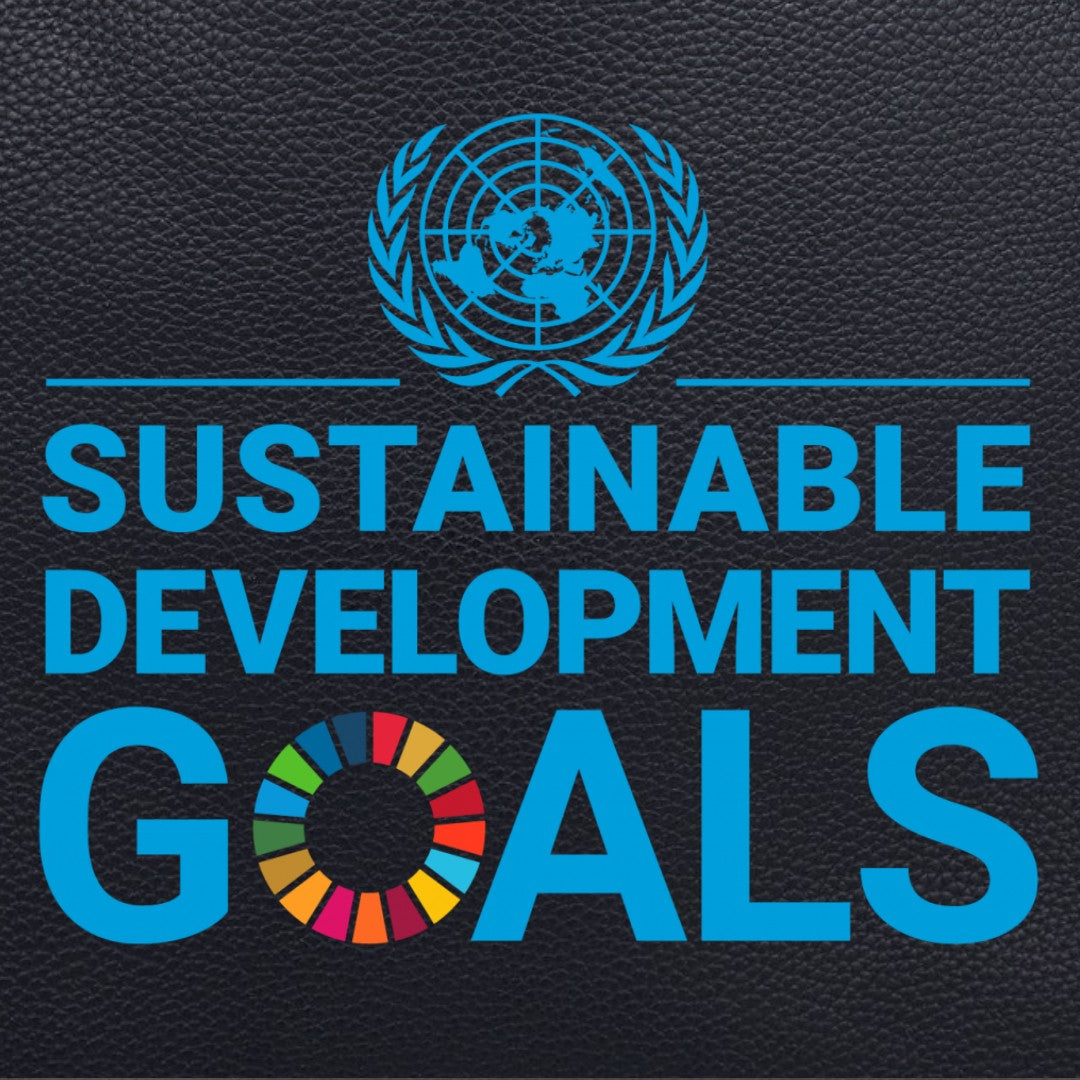 Sustainable Development Goals