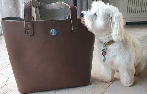 The Morphbag by GSK Reversible Tote with pet dog | Consider how green you pet’s lifestyle is | Sustainable Living Tips