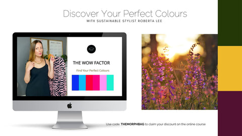 DISCOVER YOUR COLOURS | ROBERTA STYLE LEE COLOUR ANALYSIS