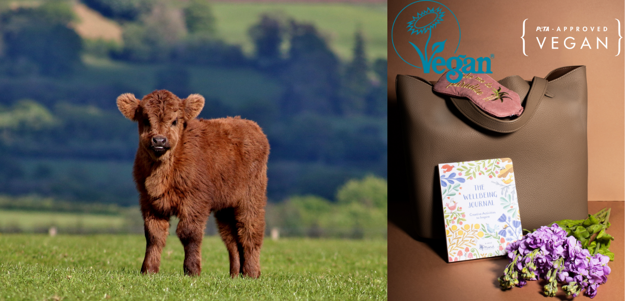 The Morphbag | BLOG |  The animal welfare benefits of going Vegan | a veal grazing in a field | The Morphbag in Beige with a bunch of flowers | Peta certified Vegan | Vegan Trademark