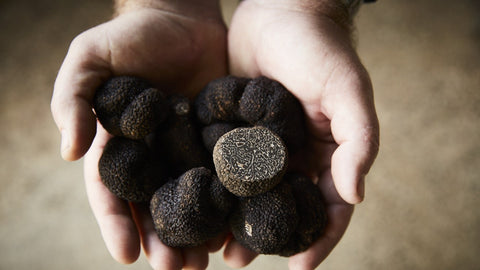  The Australian black truffles aroma are affordable