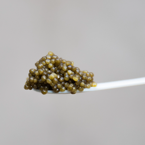  caviar on a spoon