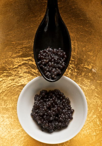 beluga caviar