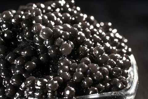 the close up of black caviar