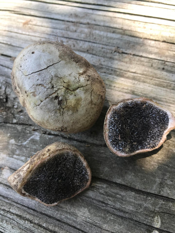 Broken truffles by storing non-properly 