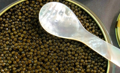 caviar and the spoon of mother of pearl  