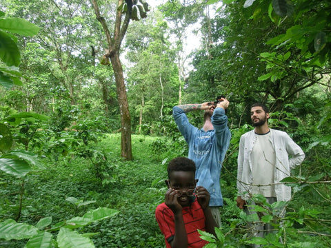 forest and people