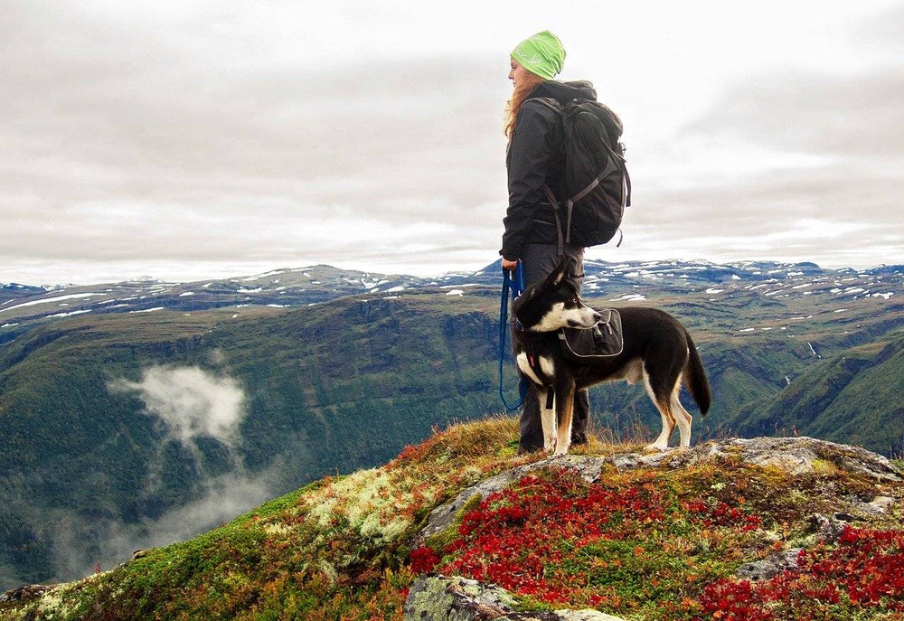 how do i start hiking with my dog