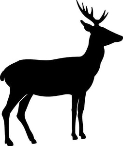 Deer-1