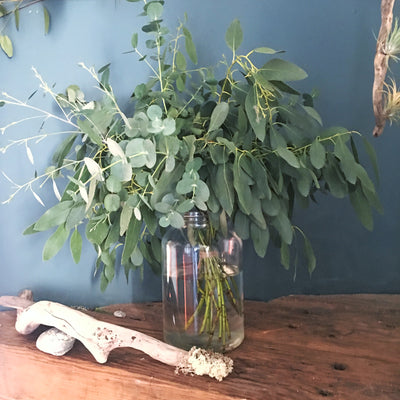 Mixed Eucalyptus Bouquet Smoked Birch