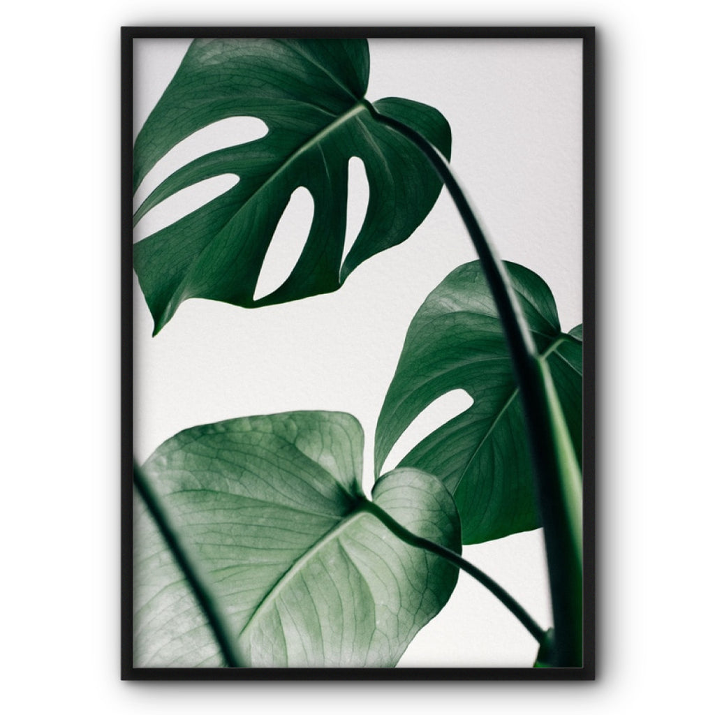 Monstera Leaves Canvas Print Poster Wall Art