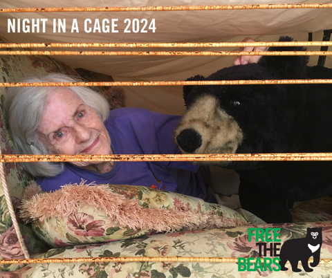 Night in a cage 2024