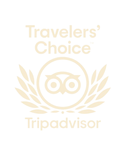 trip advisor logo