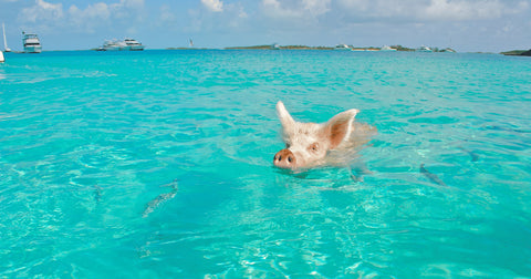Exuma Cays