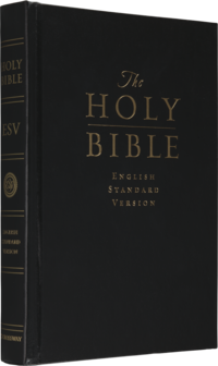 esv bible on cd