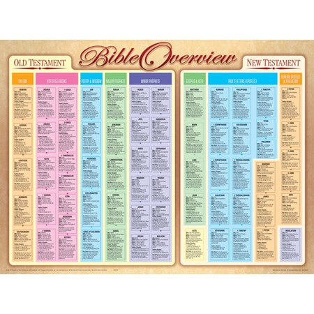 bible chart overview wall laminated publishing rose book books