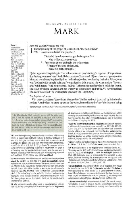 esv bible pdf