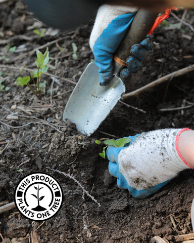 close up of a person's hands in gardeners gloves planting a seedling tree, with a logo in the lower left corner of the photo stating "This product plants one tree" in a circle around a graphic of a seedling