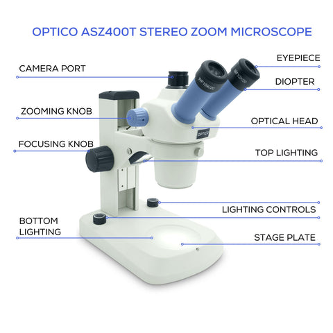 Choosing the right microscope for coin collectors —