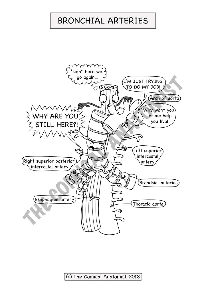 Download Respiratory System Coloring Book (Digital Product) | The ...