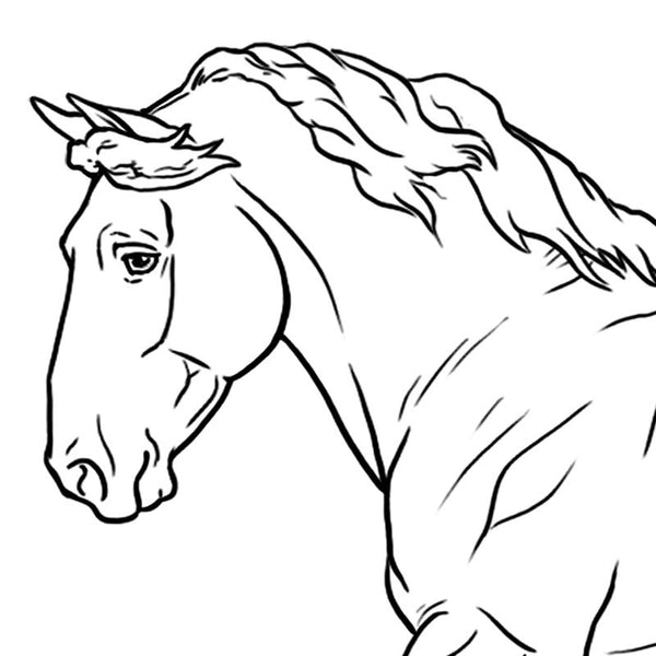 Breyer Horse Coloring Pages Pluscoloring Com - vrogue.co