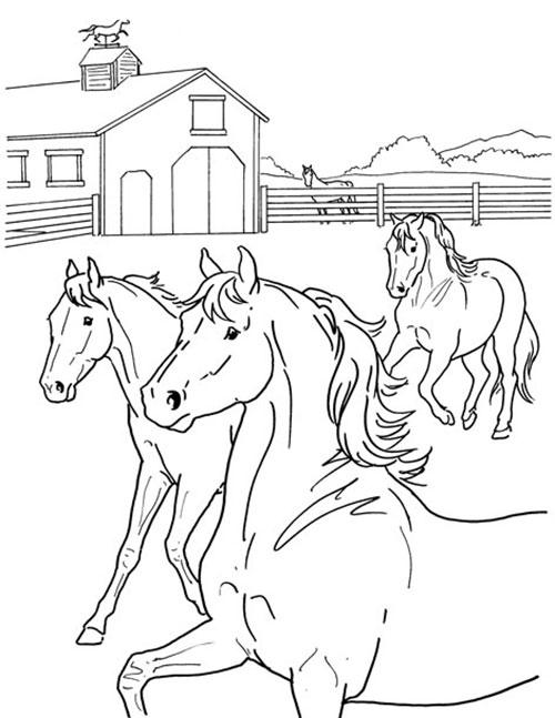 free coloring pages of horseshoes