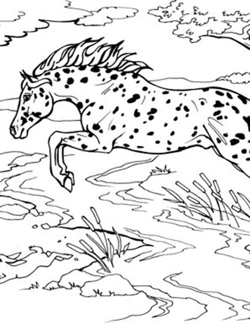 Download Jumping Horse Coloring Page - BreyerHorses.com