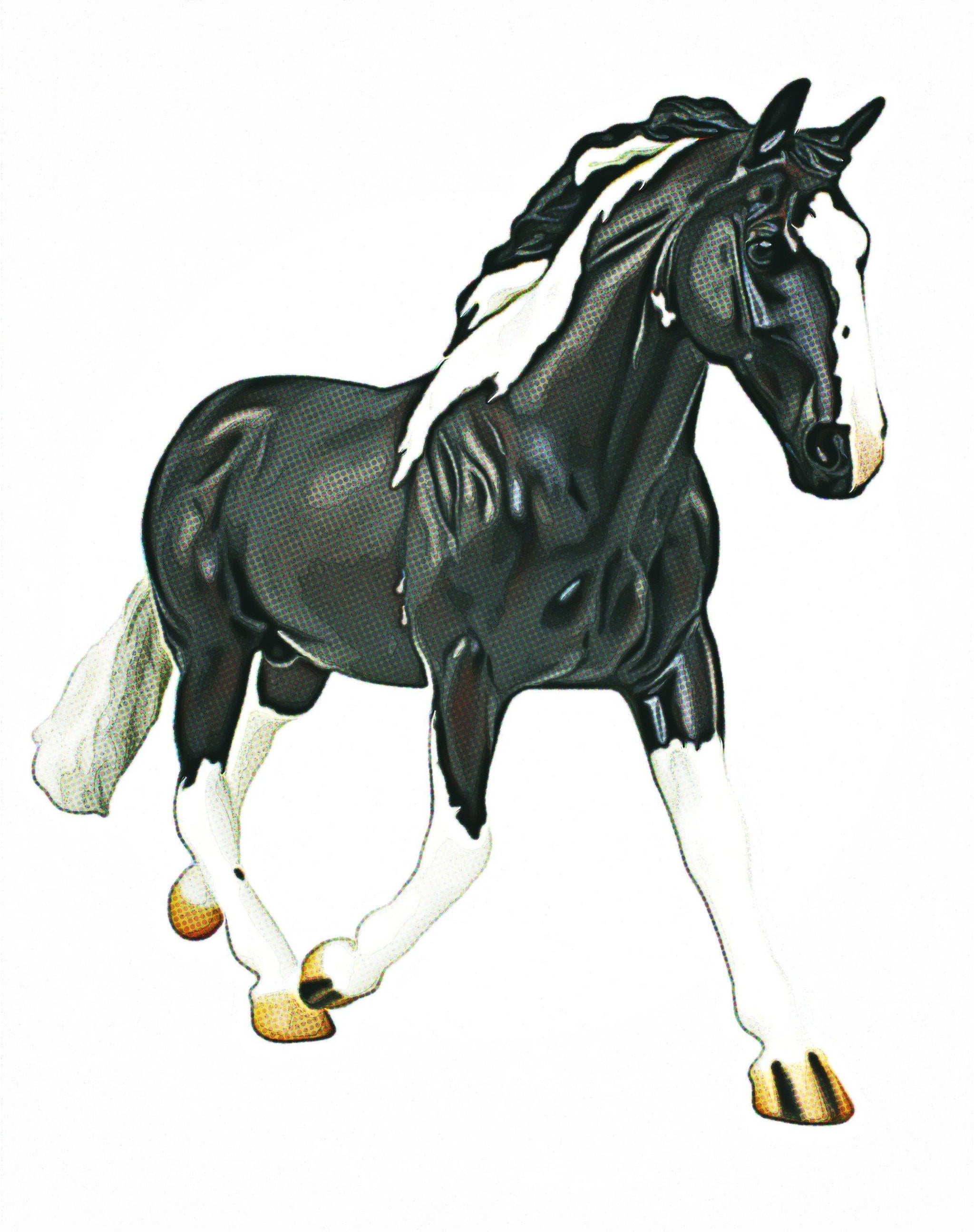 oliver breyer horse