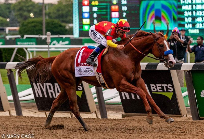 justify breyer horse