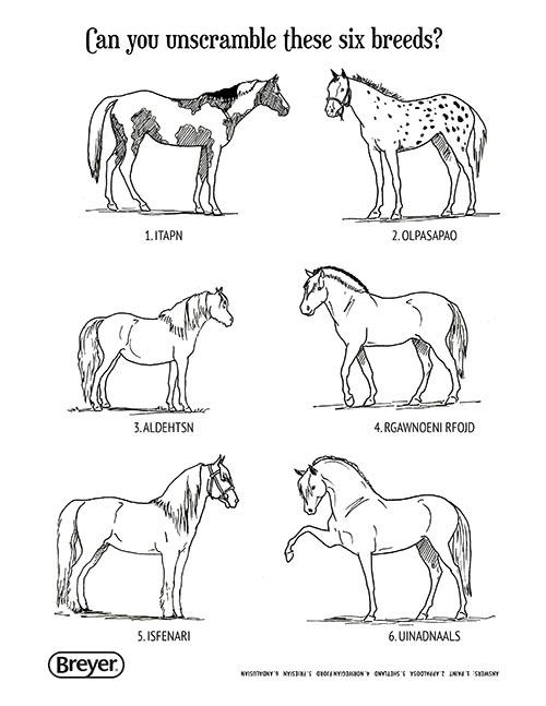 Featured image of post Realistic Breyer Horse Coloring Pages - Coloring pages are fun for children of all ages and are a great educational tool that helps children develop fine motor skills, creativity and color recognition!