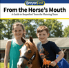 Virtual BreyerFest - more questions answered!