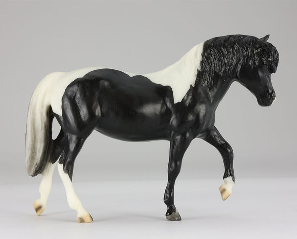 Black Pinto Miniature Horse Set Test Run