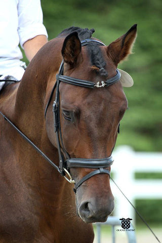 L'équitation, premier sport féminin - Royal Horse