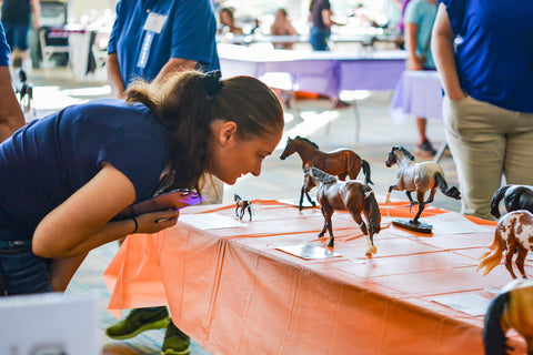 Model Horse Show