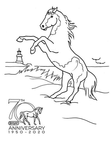 Breyer Horse Coloring Contest Coloring Pages