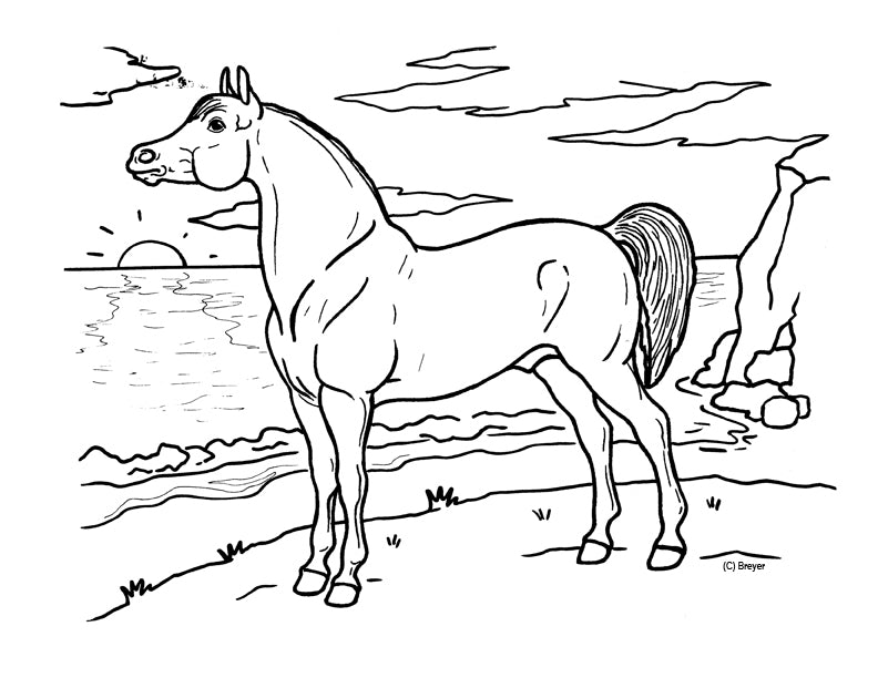 arabian horse coloring pages