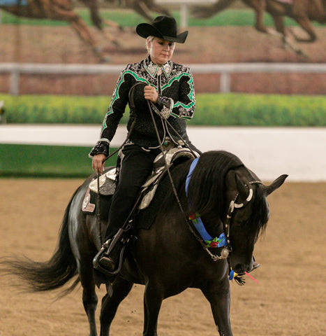 Arabian horse with Rider