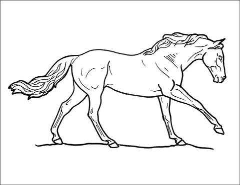 Breyer Horse Coloring Pages