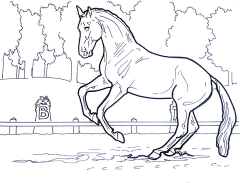 horse dressage coloring pages