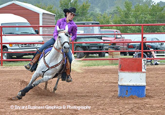 Missouri Fox Trotter