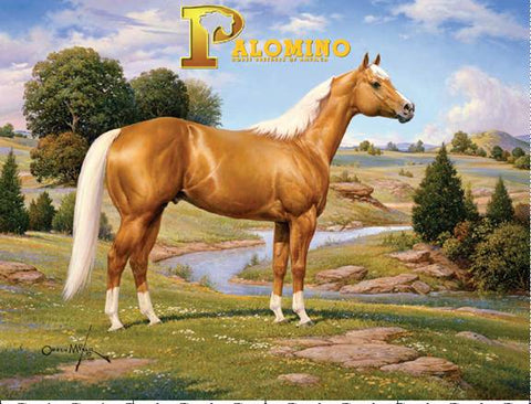 Palomino Stallion