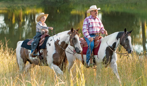 American Paint Horse