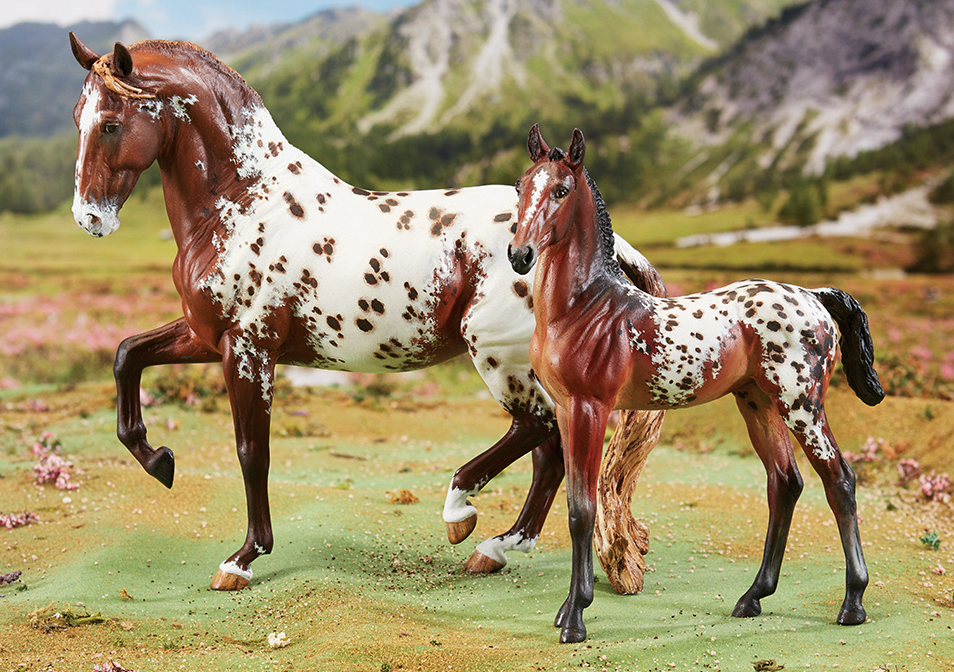 model horse pedigree assignment