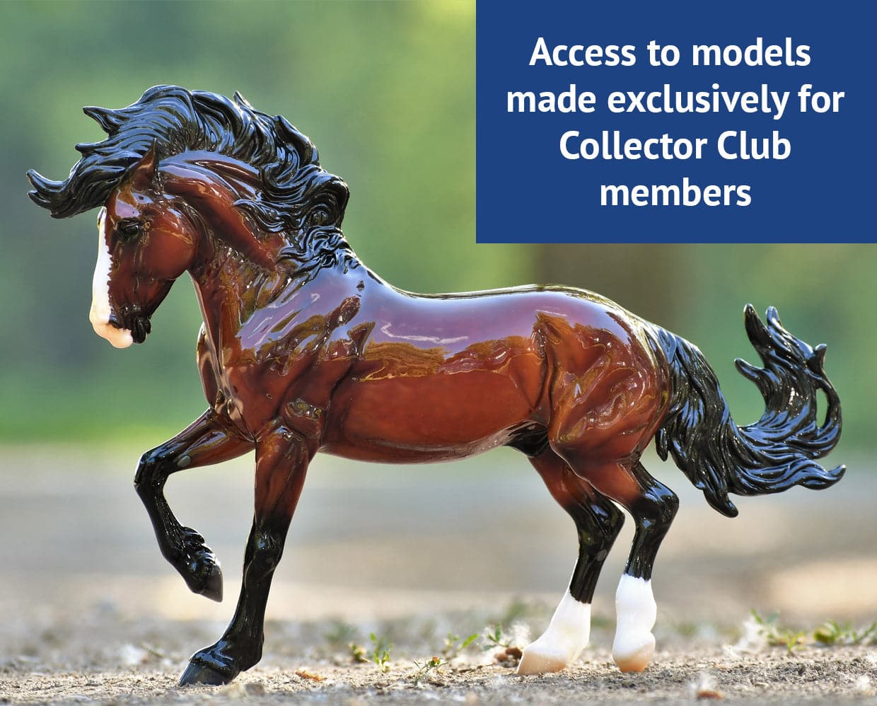 2023 Collector Club Membership 