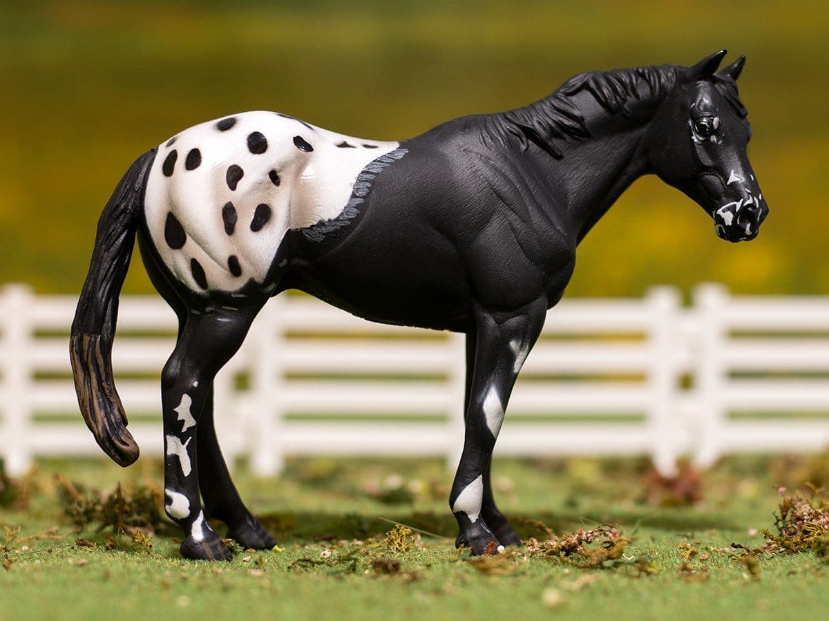 breyer horse appaloosa