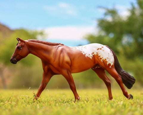 Breyer Vivaldi de Besilu - Franklin Saddlery