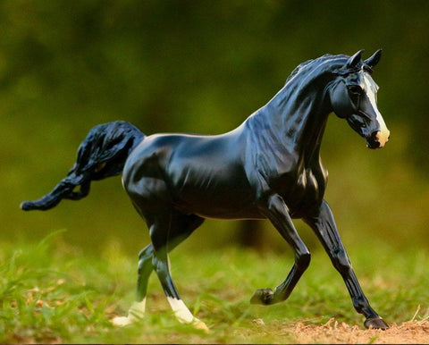 Breyer Sjoerd Friesian