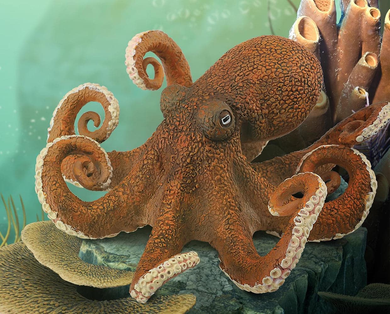 Octopus - BreyerHorses.com